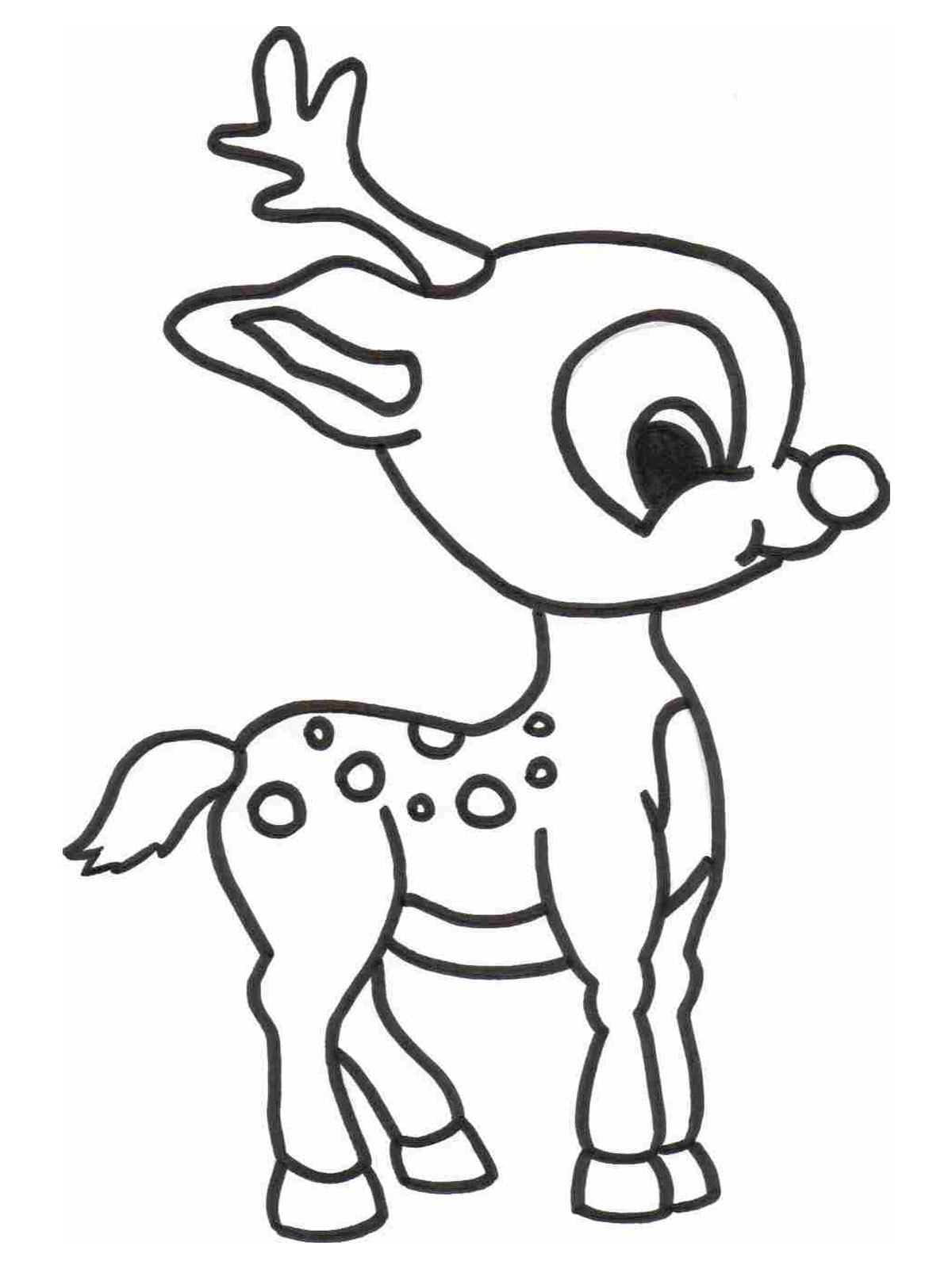 Animal Coloring Pages For Kids
 free printable coloring pages animals 2015