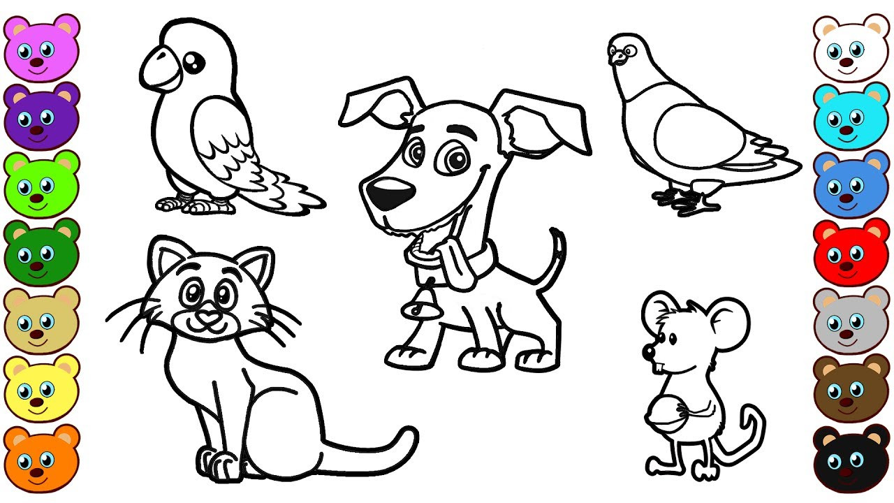 Animal Coloring Pages For Kids
 Learn Colors for Kids with Home Animals Coloring Pages