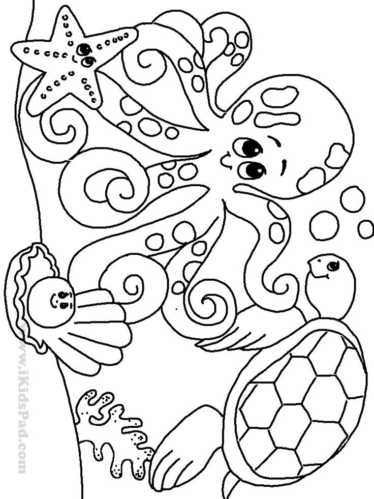 Animal Coloring Pages For Kids
 Free printable ocean coloring pages for kids Coloring