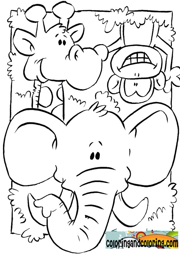 Animal Coloring Pages For Toddlers
 NEW 775 ZOO ANIMALS PRINTABLES FOR PRESCHOOLERS