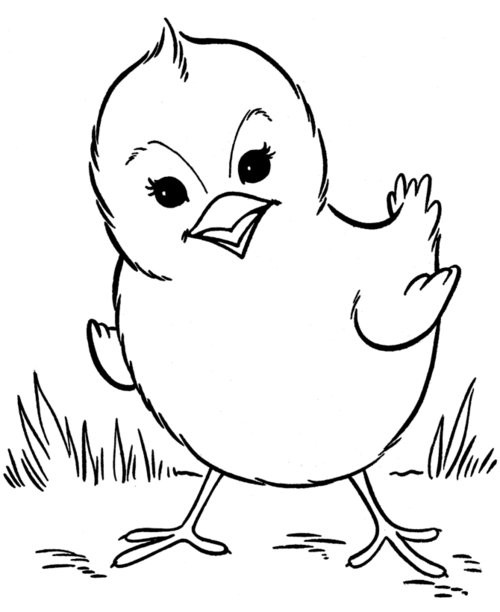 Animal Coloring Pages For Toddlers
 Baby Farm Animals Coloring Pages For Kids Disney