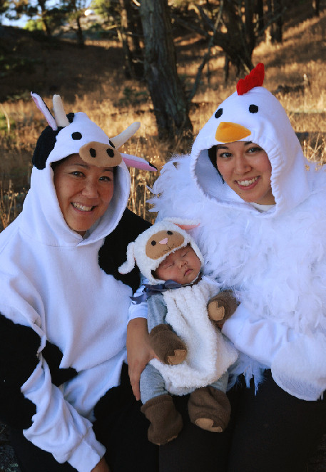 Animal Costumes For Adults DIY
 russell costume