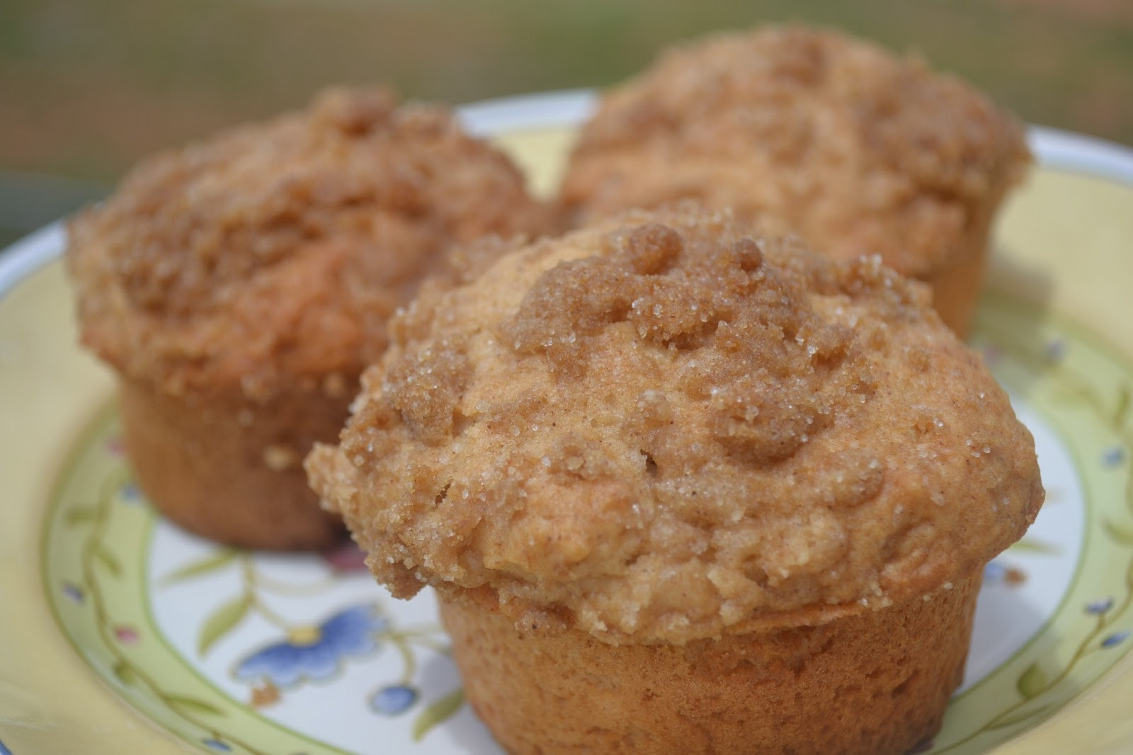 Applesauce Muffin Recipe
 Applesauce Muffins with Cinnamon Streusel Topping