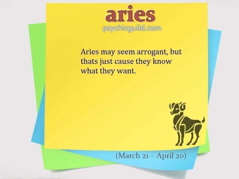 Aries Birthday Quotes
 Aries Birthday Quotes QuotesGram