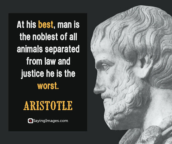 Aristotle Education Quotes
 20 Aristotle Quotes to Enlighten You