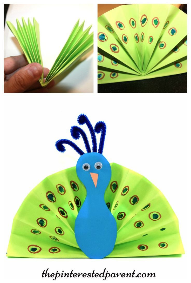 Arts And Crafts Projects For Toddlers
 Construction paper fan peacock craft kid s arts and