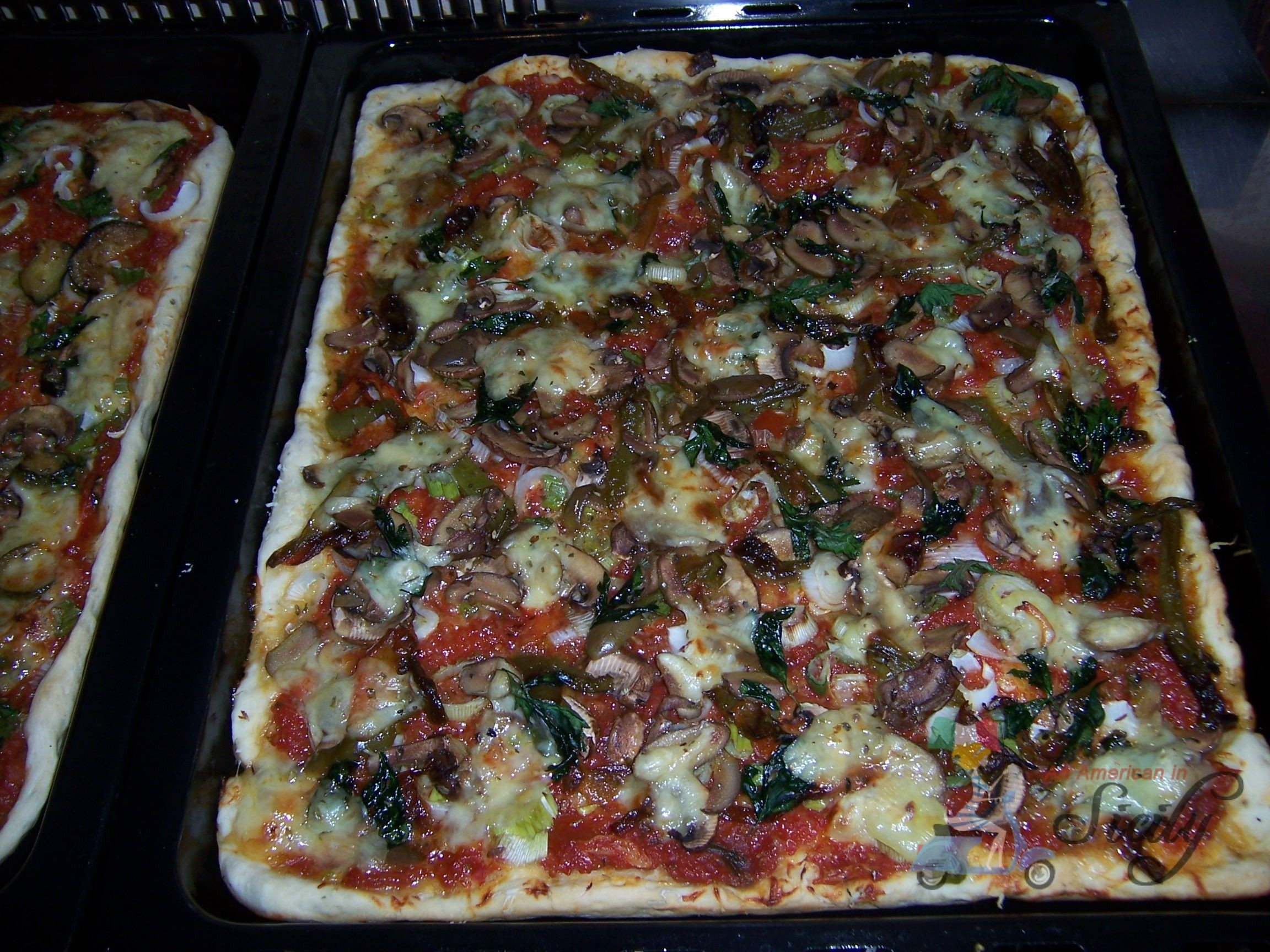 Authentic Italian Pizza Dough Recipes
 authentic italian pizza recipe