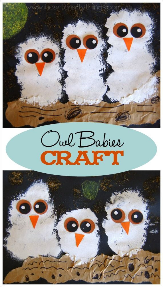 Baby Animals Crafts
 How to Make an Owl Babies Craft