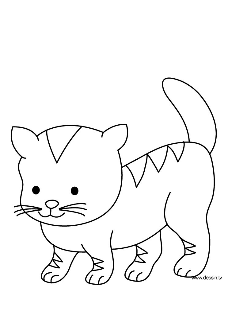 Baby Cat Coloring Pages
 Coloring kitten