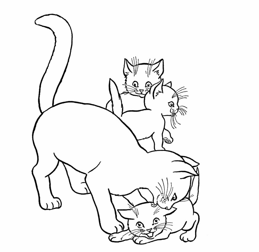 Baby Cat Coloring Pages
 Cute Baby Cats Coloring Pages Animal