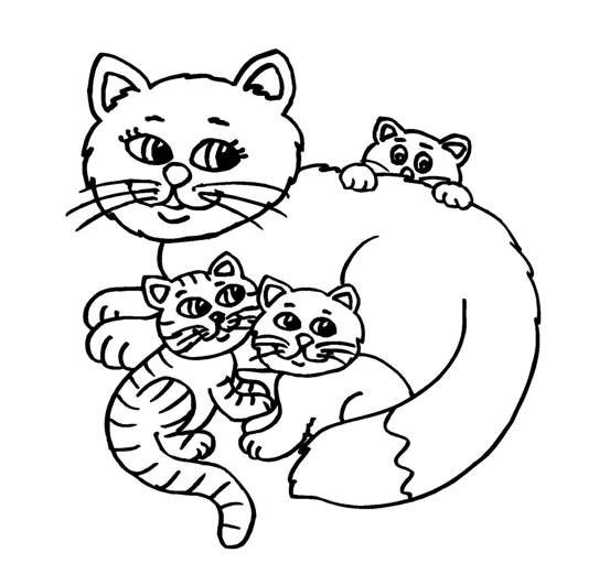 Baby Cat Coloring Pages
 Cute Baby Cats Coloring Pages Animal