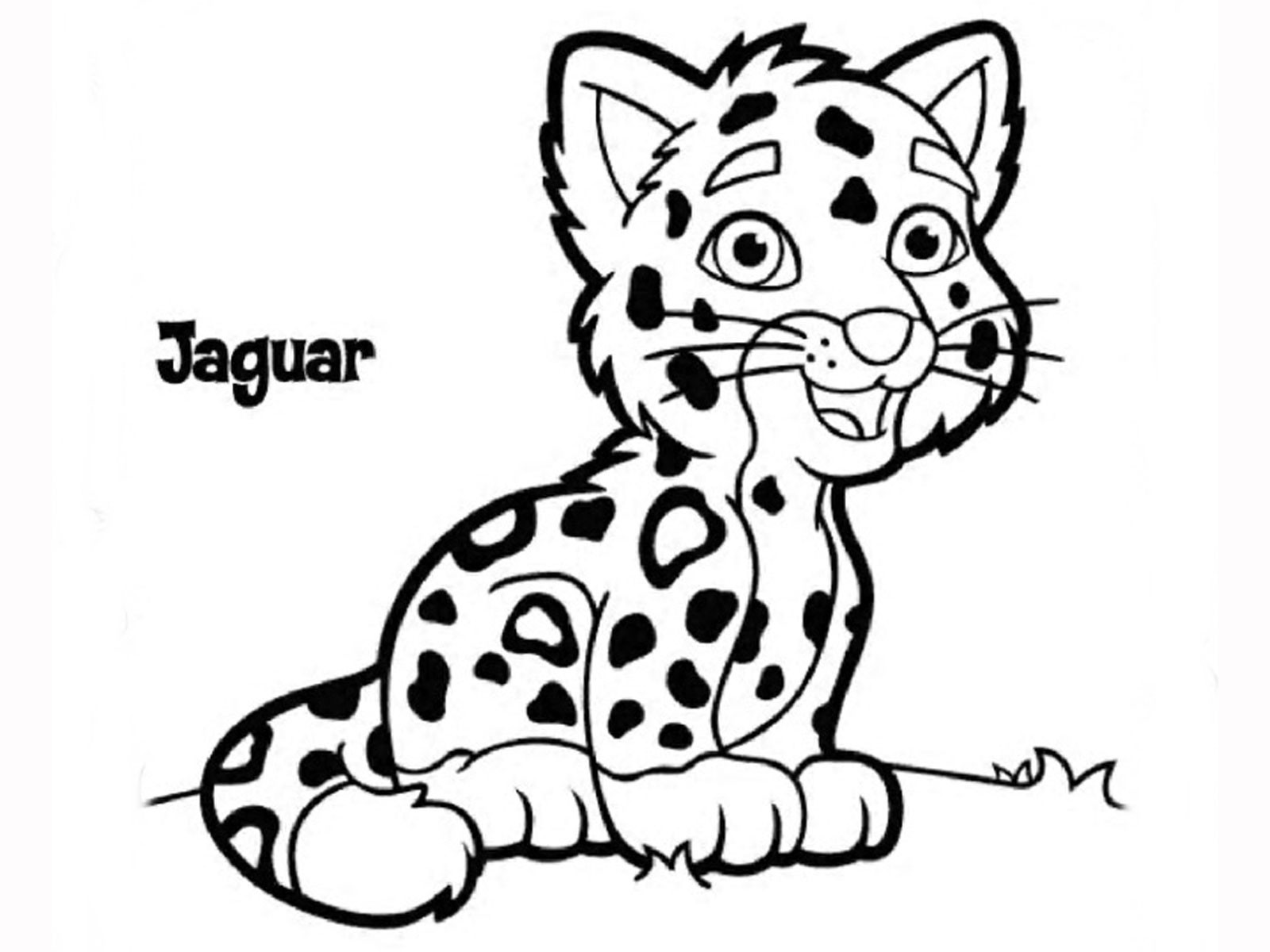 Baby Cheetah Coloring Pages
 Cheetah Drawing Kids at GetDrawings