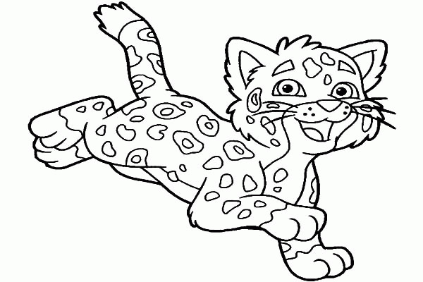 Baby Cheetah Coloring Pages
 Cute Baby Cheetah Coloring Pages Coloring Pages