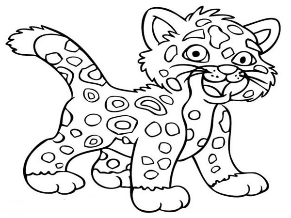 Baby Cheetah Coloring Pages
 Little Baby Cheetah Coloring Page NetArt