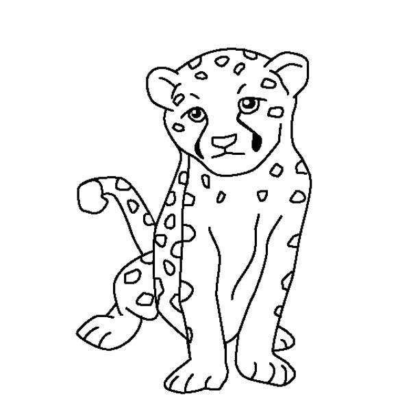 Baby Cheetah Coloring Pages
 Cute Baby Cheetah Coloring Page NetArt