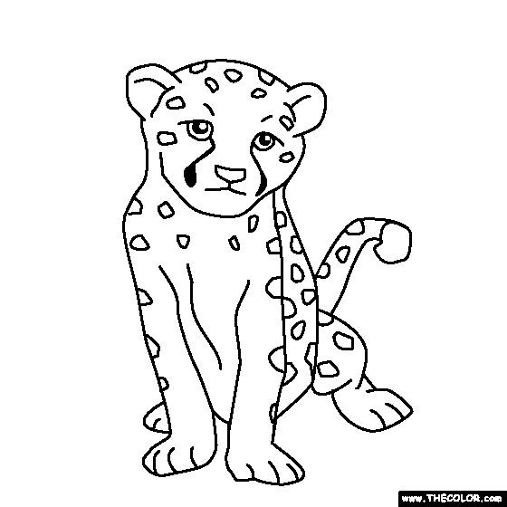 Baby Cheetah Coloring Pages
 free coloring page of a Baby Cheetah Color in this