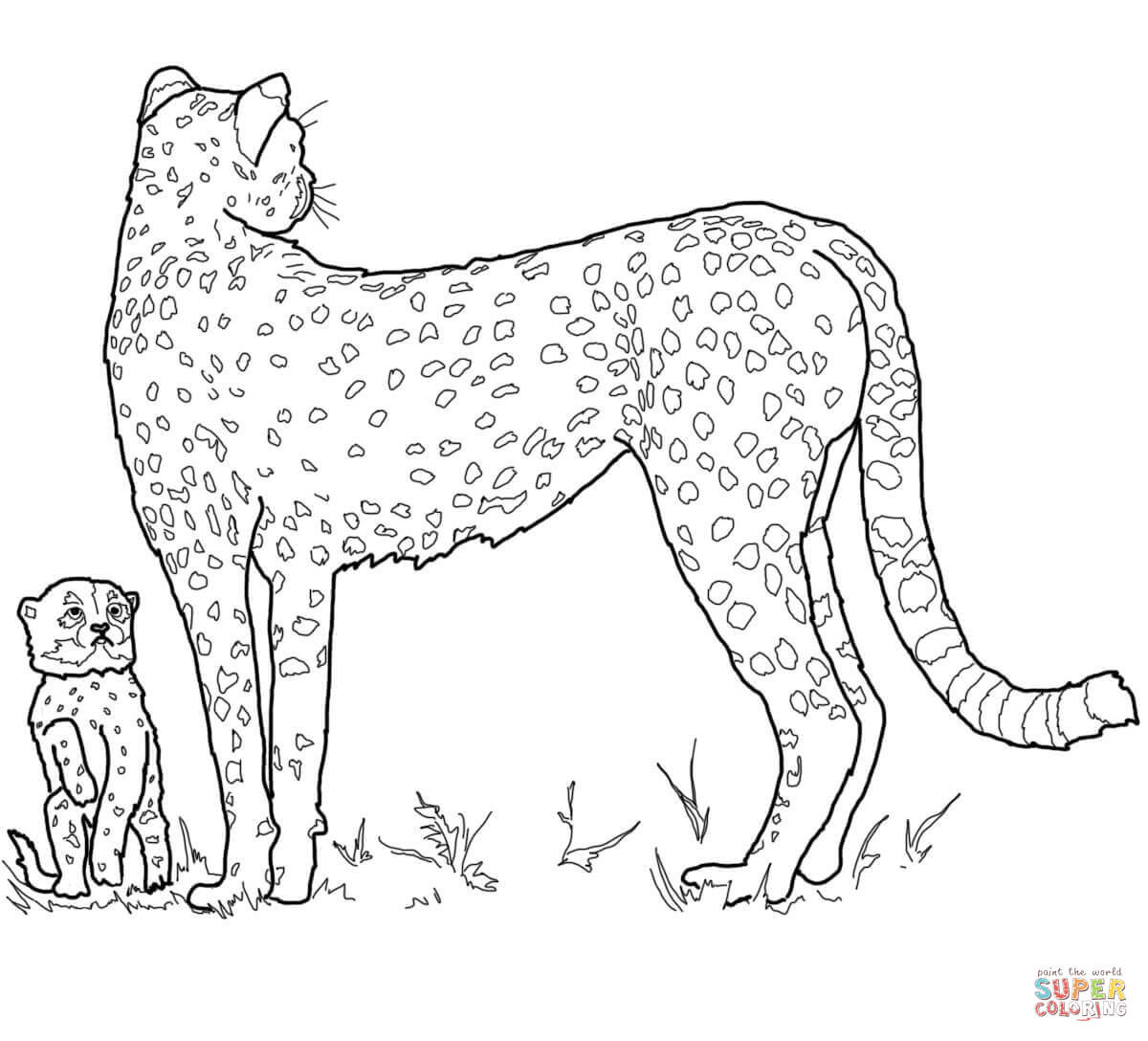 Baby Cheetah Coloring Pages
 Baby Cheetah and Mother coloring page
