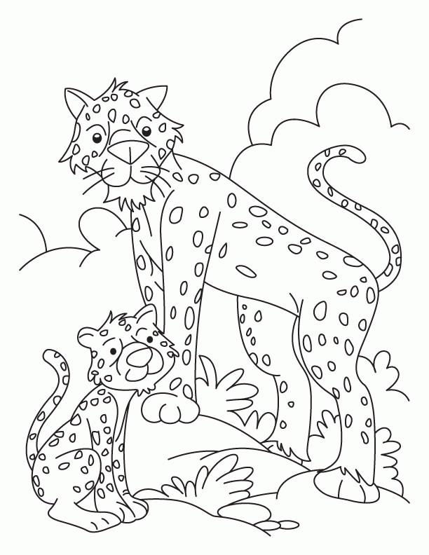 Baby Cheetah Coloring Pages
 Baby Cheetah Coloring Page Coloring Home