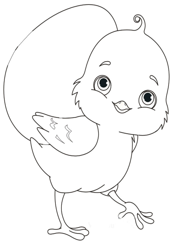 Baby Chick Coloring Page
 Baby Chick coloring pages Download and print Baby Chick