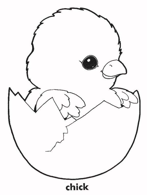 Baby Chick Coloring Page
 Baby Chick In His Eggshell Coloring Page Kids Play Color