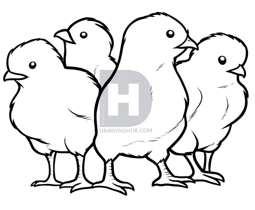 Baby Chick Coloring Page
 How To Draw Chicks Chicks Step by Step Drawing Guide