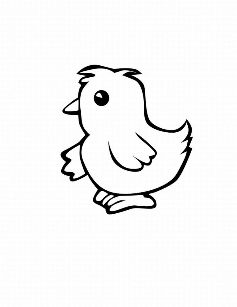 Baby Chick Coloring Page
 Chicken Chook Coloring Pages