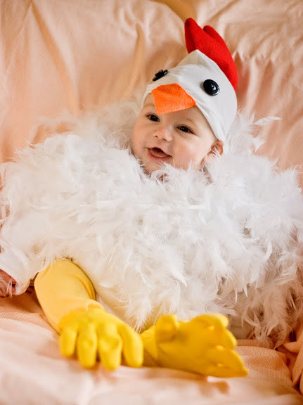 Baby Chicken Costume DIY
 37 Homemade Animal Costumes C R A F T