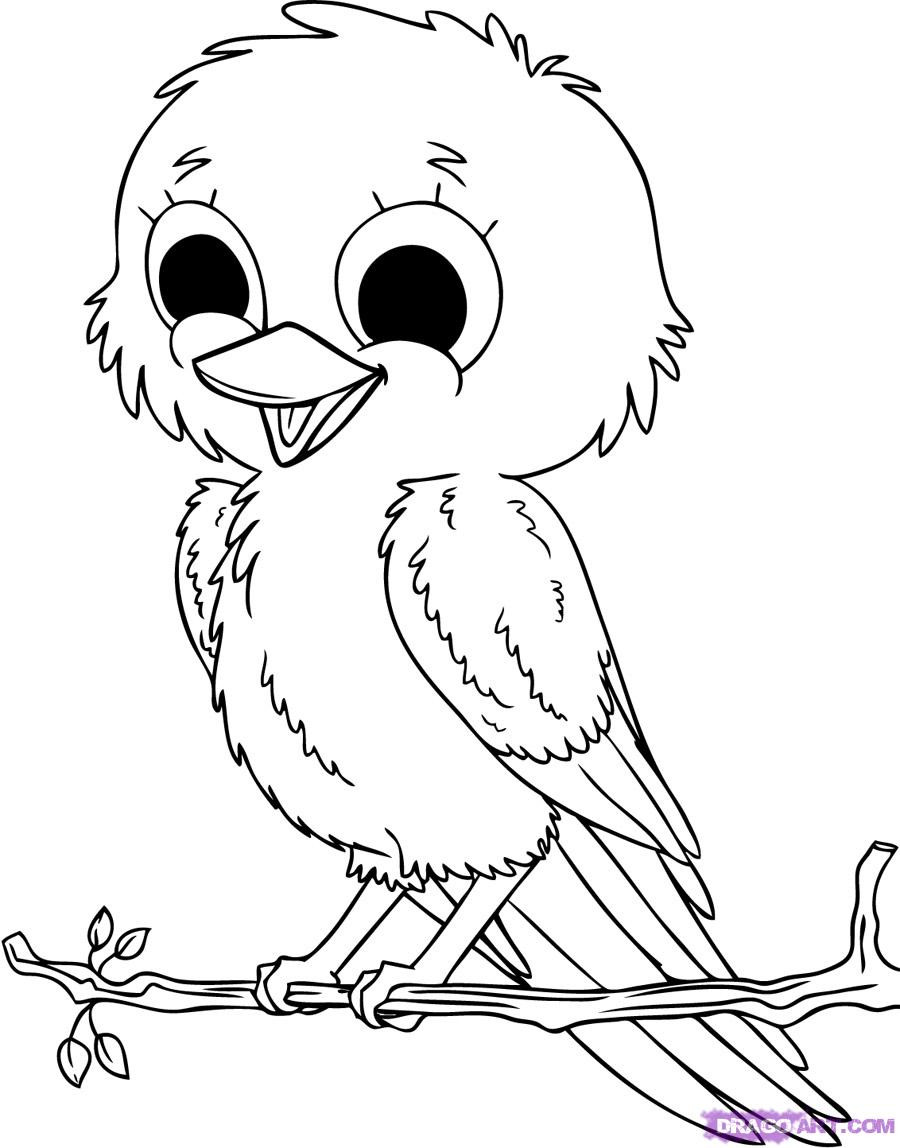 Baby Coloring Picture
 Baby Animals Coloring Pages To Kids