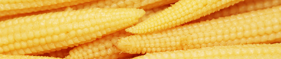 Baby Corn Nutrition
 Baby Corn Facts Aamango
