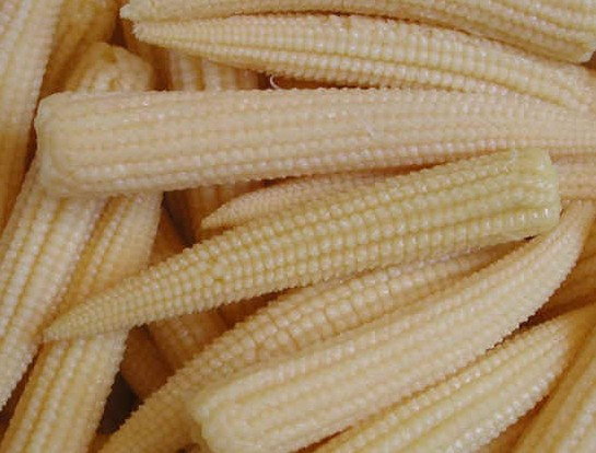 Baby Corn Nutrition
 small corn ears