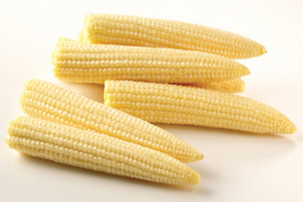 Baby Corn Nutrition
 Baby Corn Nutritional Values SAFIMEX JOINT STOCK PANY