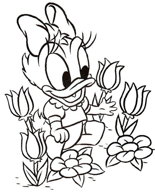 Baby Daisy Duck Coloring Pages
 donald daisy duck