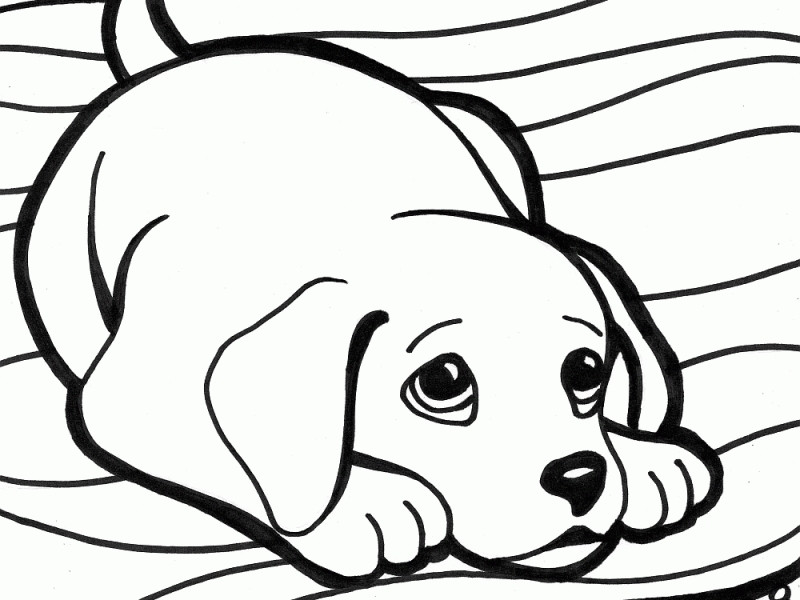 Baby Dog Coloring Pages
 Coloring Pages Cute Dogs at GetColorings