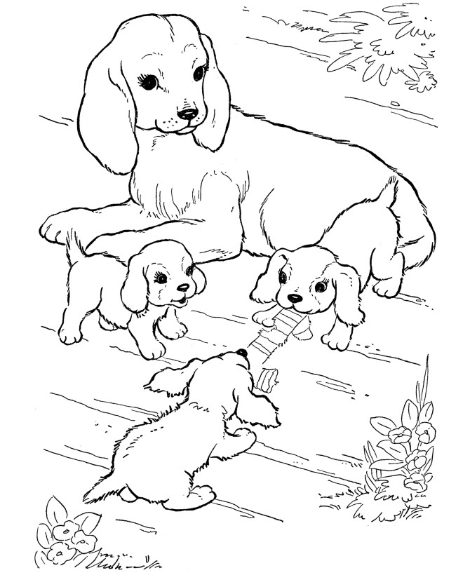 Baby Dog Coloring Pages
 best coloring page dog March 2013