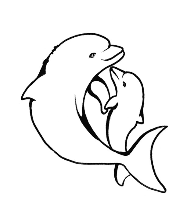Baby Dolphin Coloring Pages
 Baby Dolphin Coloring Pages