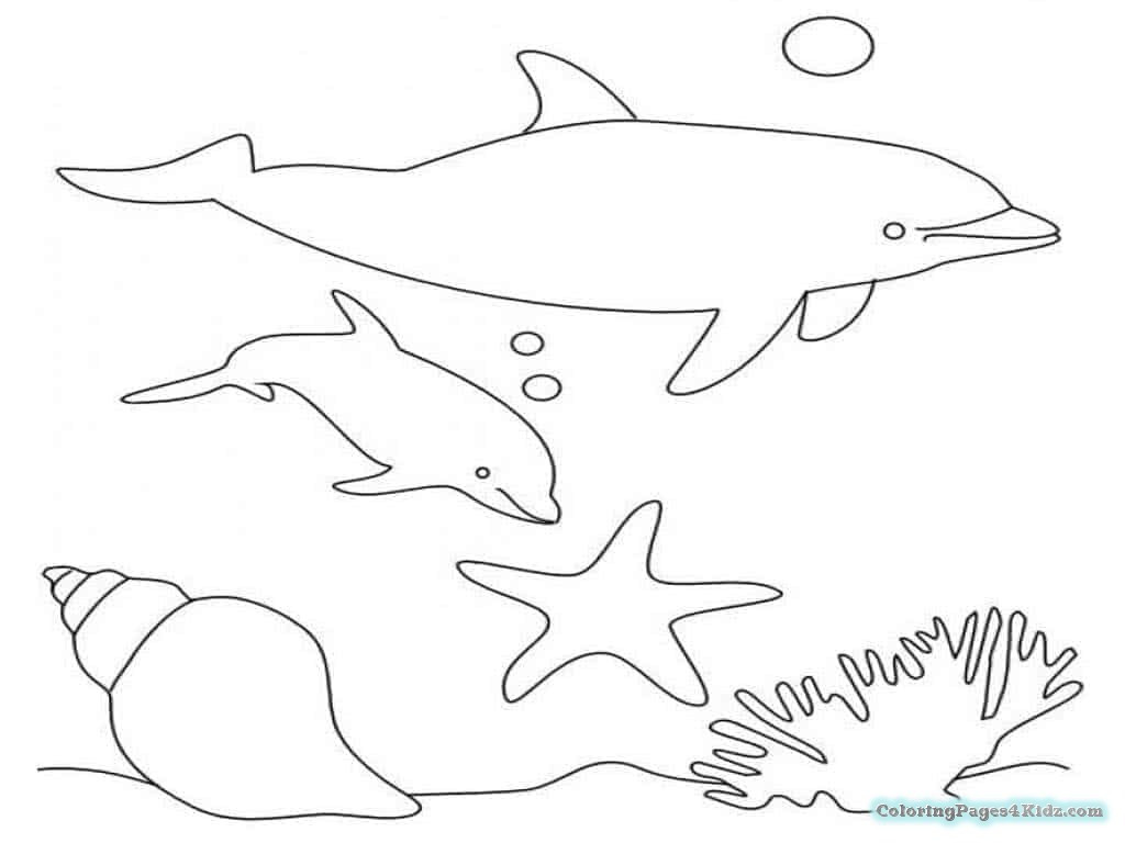 Baby Dolphin Coloring Pages
 Cute Baby Dolphin Coloring Pages