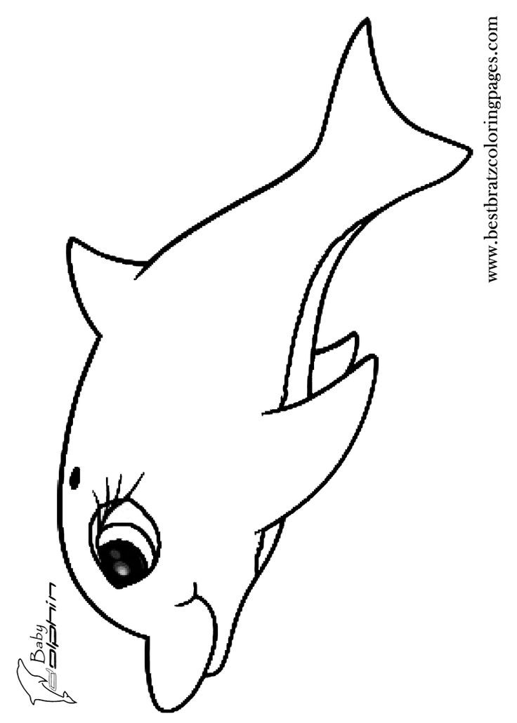 Baby Dolphin Coloring Pages
 9 best Skylander Coloring Pages images on Pinterest