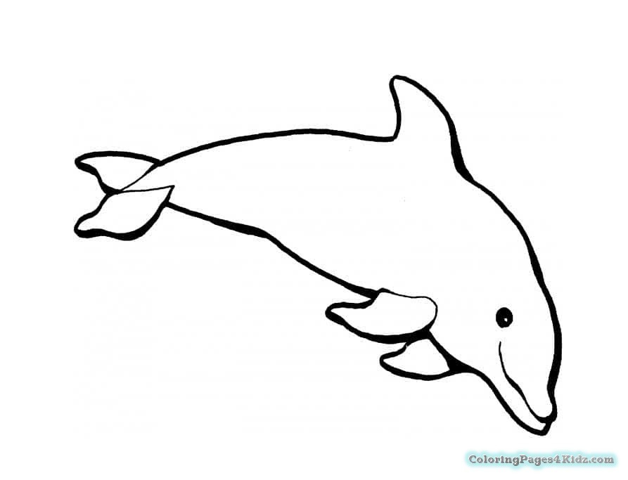 Baby Dolphin Coloring Pages
 Cute Baby Dolphin Coloring Pages