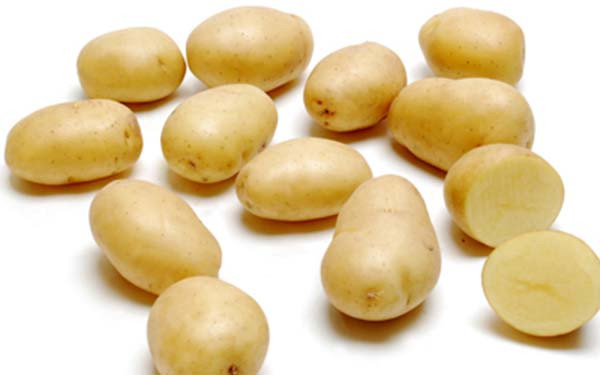 Baby Dutch Yellow Potatoes Recipes
 Melissa s Produce and Gift Baskets