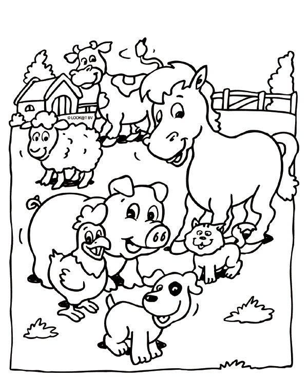 Baby Farm Animal Coloring Pages
 Pin by Coloring Fun on Animals