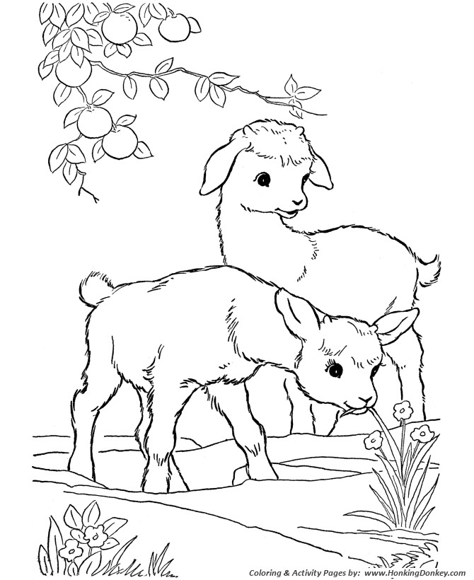 Baby Farm Animal Coloring Pages
 Baby Farm Animal Coloring Pages For Kids