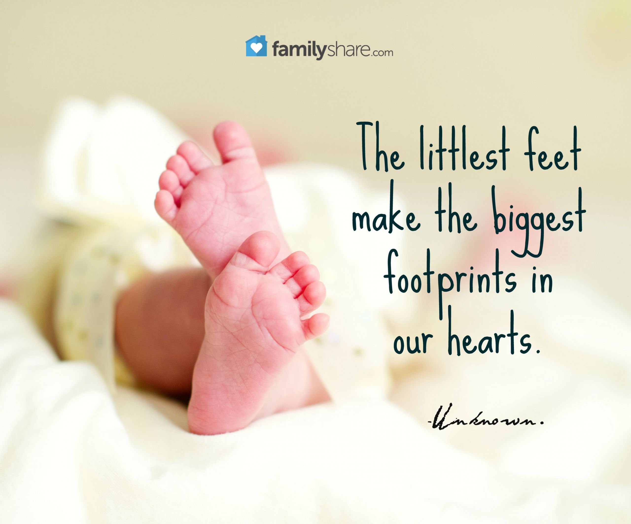Baby Footprints Quotes
 The littlest feet make the biggest footprints in our
