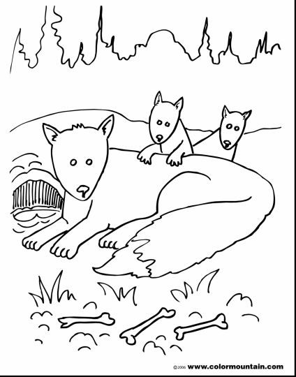 Baby Fox Coloring Page
 Cute Baby Fox Coloring Pages Part 3