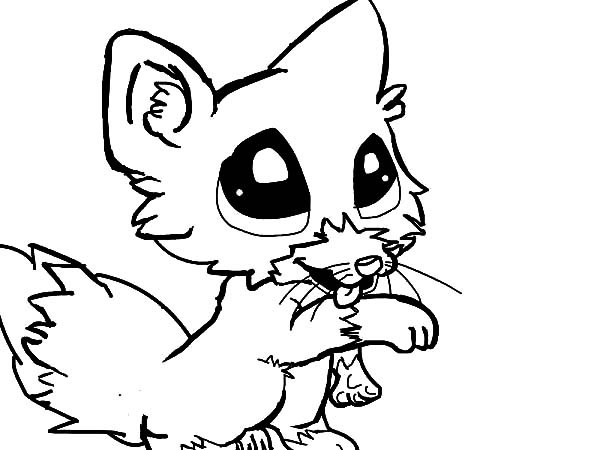 Baby Foxes Coloring Pages
 Cute baby fox coloring page Download & Print line