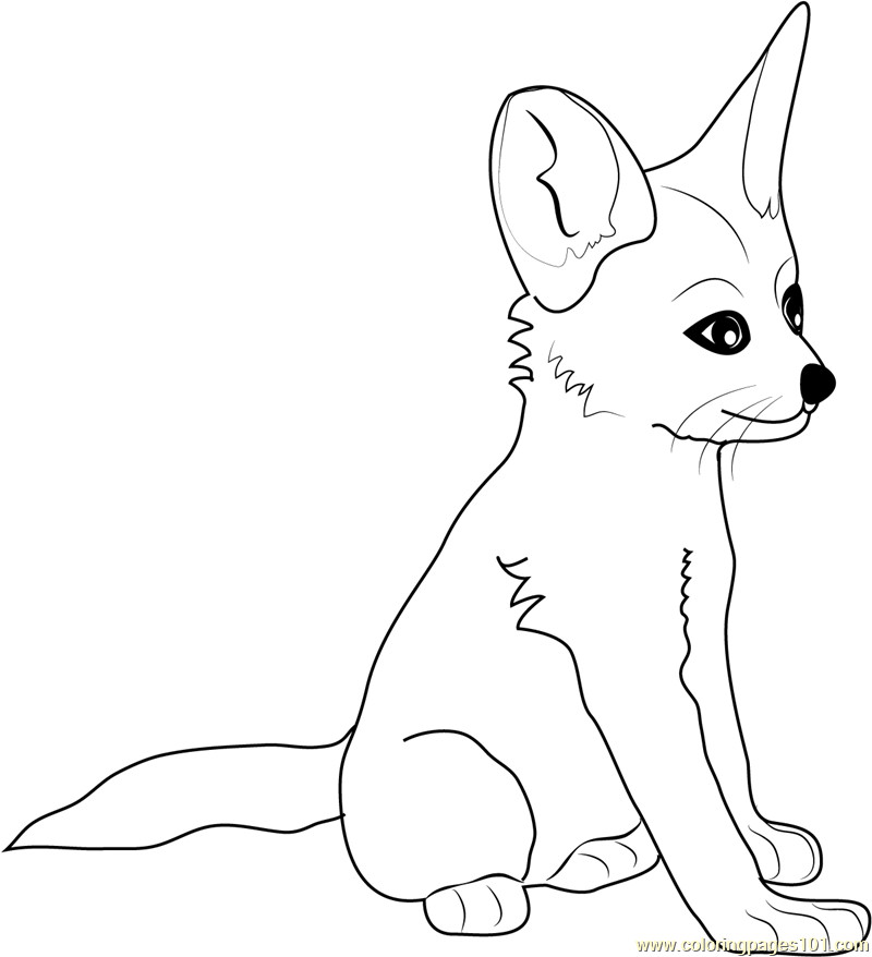 Baby Foxes Coloring Pages
 Baby Fox Coloring Pages