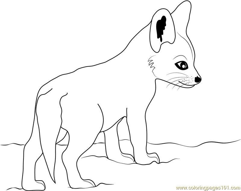Baby Foxes Coloring Pages
 Cute Baby Fox Coloring Pages Coloring Home