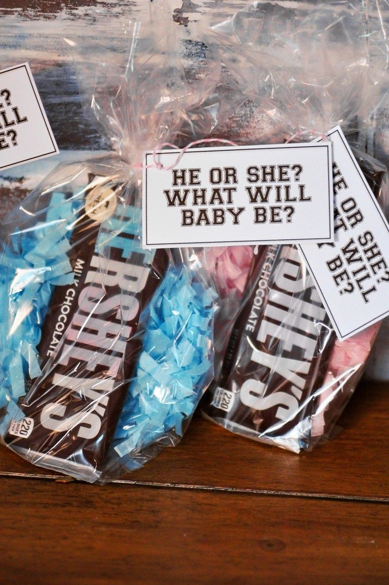 Baby Gender Reveal Party Gifts
 DIY Gender Reveal Party Favors