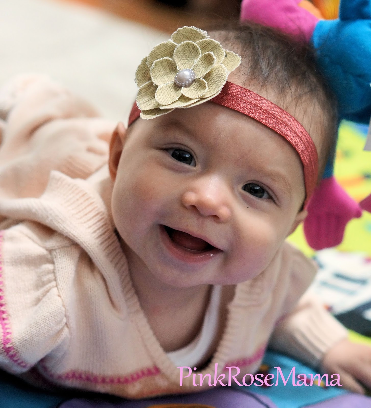 Baby Girl Headbands Diy
 Pink Rose Mama DIY Baby Headbands