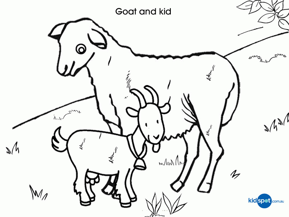 Baby Goat Coloring Pages
 Goat Colouring Pages Kid Coloring Home