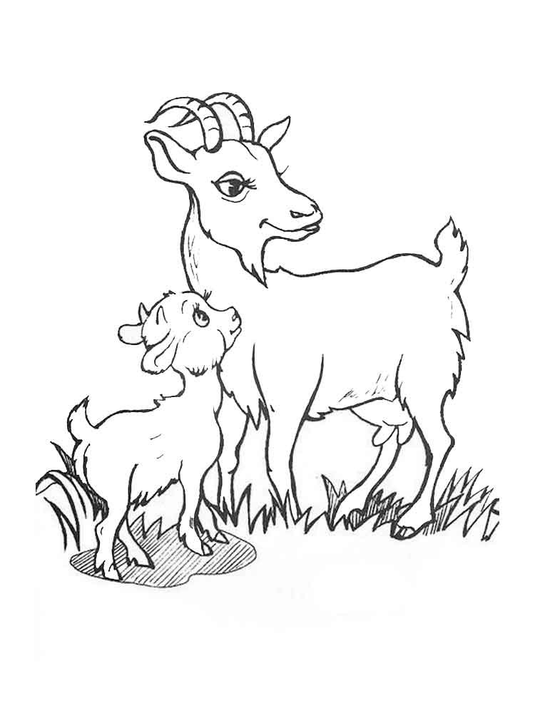 Baby Goat Coloring Pages
 Gambar Baby Goat Clipart Black White Clip Art Library